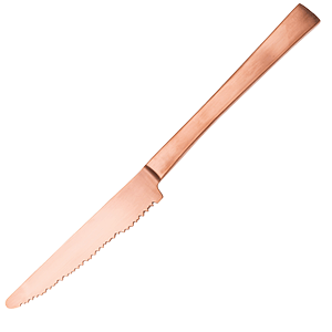 Нож столовый «Маартен Баас»; сталь нержавеющая,медь