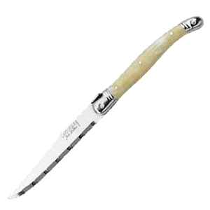 Нож для стейка; сталь нержавеющая,пластик; длина=27 см.; металлический, белый