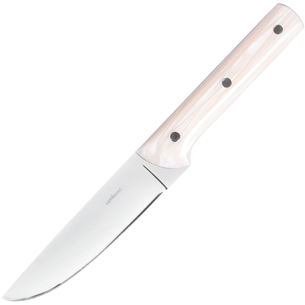 Нож для стейка; сталь нержавейка,каучук натуральный ; ,L=25см; белый