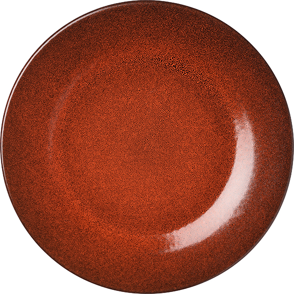 Тарелка «Млечный путь оранжевый»   фарфор   D=24,H=2см Борисовская Керамика