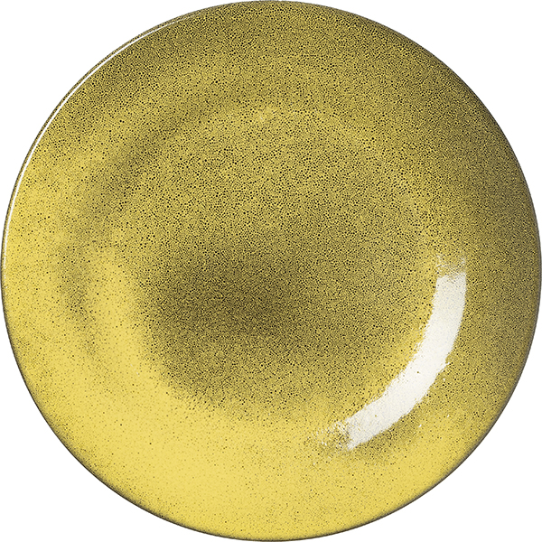 Тарелка «Млечный путь салатовый»   фарфор   D=24,H=2см Борисовская Керамика