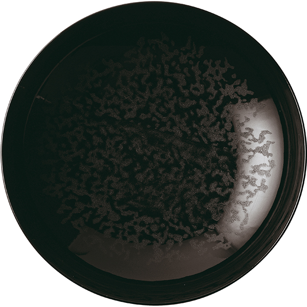 Тарелка глубокая «Эклипс»; фарфор; D=22см; черный